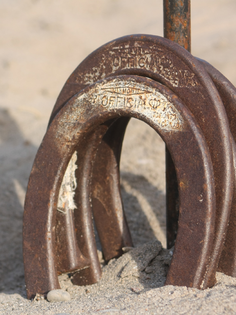 horseshoes